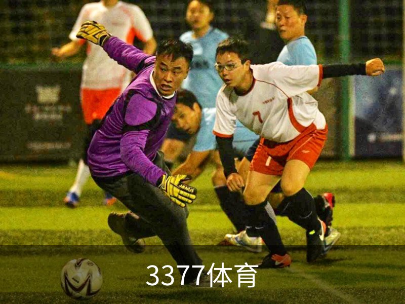 3377体育介绍